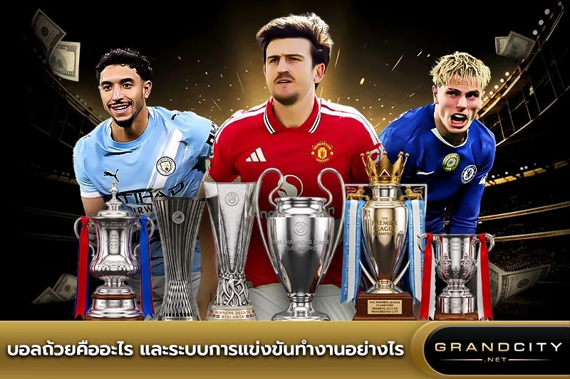 บอลถ้วยคืออะไร